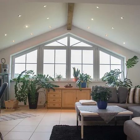 Daire Ferienwohnung Donaublick Rettenbach (Cham)